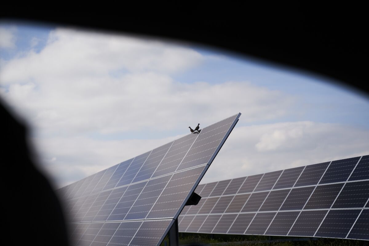 Yenilenebilir Enerji Yatırımları İçin Fırsatlar Artıyor