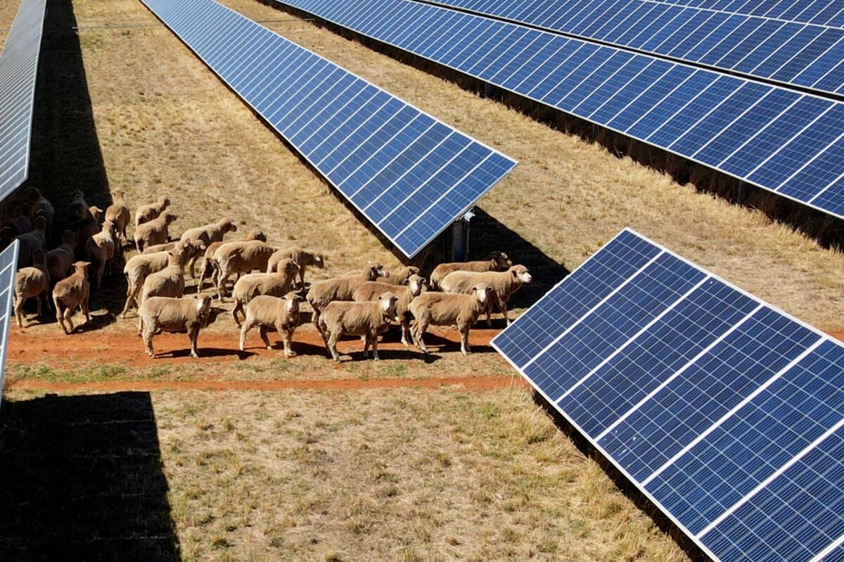 Avustralya'da Yenilenebilir Enerji ve Elektrikli Araçların Yükselişi
